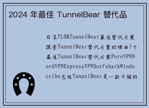 2024 年最佳 TunnelBear 替代品