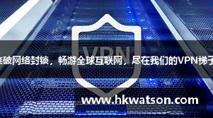 海鸥加速器app
