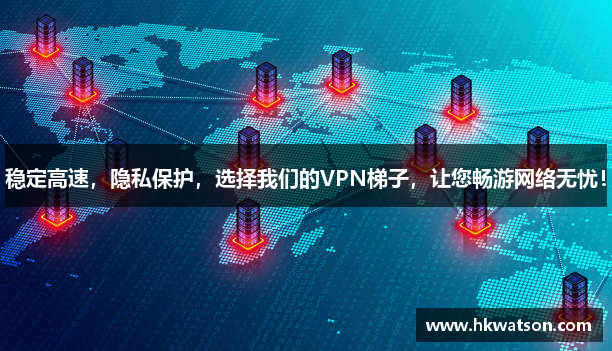 海鸥npv加速器下载