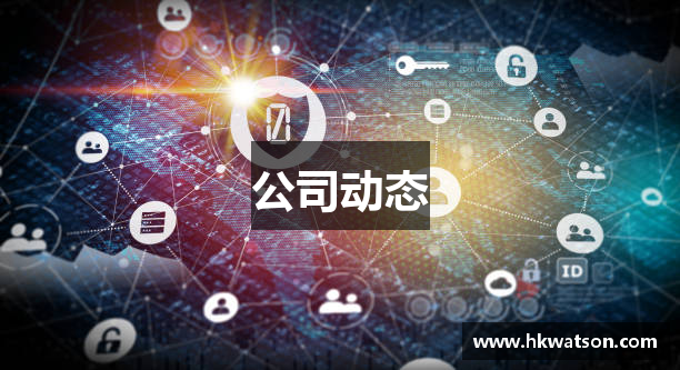 公司动态