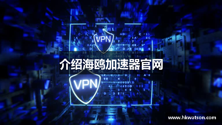 介绍海鸥加速器官网