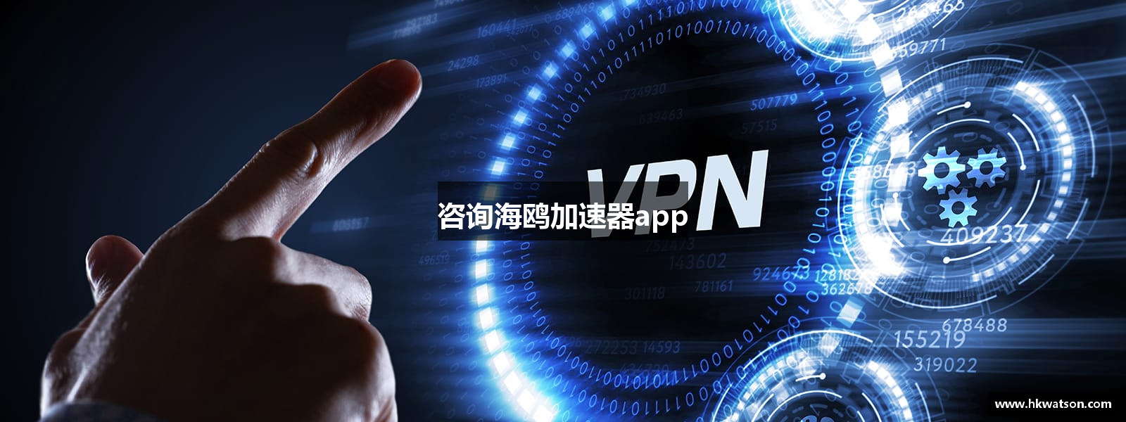 咨询海鸥加速器app